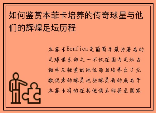如何鉴赏本菲卡培养的传奇球星与他们的辉煌足坛历程