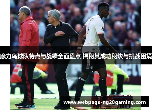 魔力鸟球队特点与战绩全面盘点 揭秘其成功秘诀与挑战困境