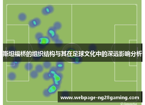 斯坦福桥的组织结构与其在足球文化中的深远影响分析