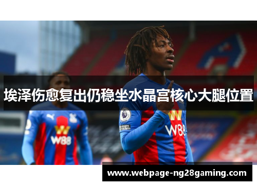 埃泽伤愈复出仍稳坐水晶宫核心大腿位置 埃泽伤愈复出仍稳坐水晶宫核心大腿位置