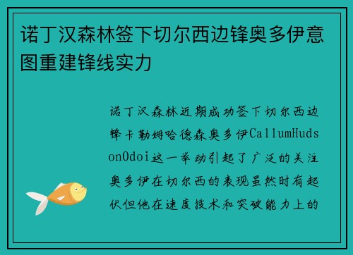 诺丁汉森林签下切尔西边锋奥多伊意图重建锋线实力 诺丁汉森林签下切尔西边锋奥多伊意图重建锋线实力